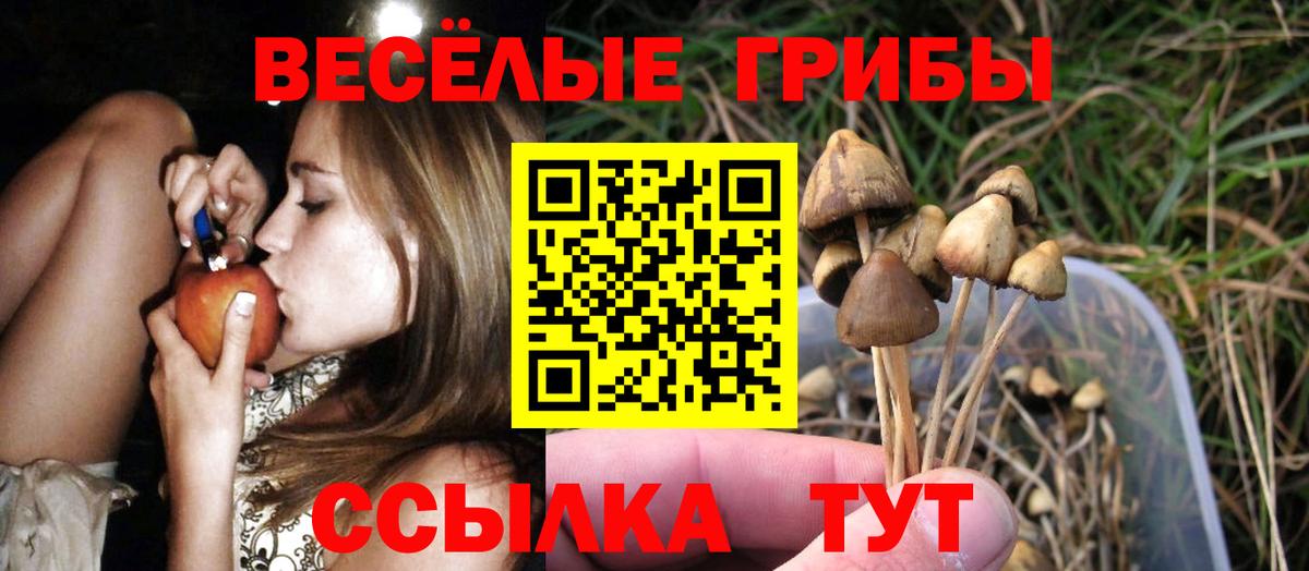 Псилоцибиновые грибы Psilocybine cubensis Гагарин