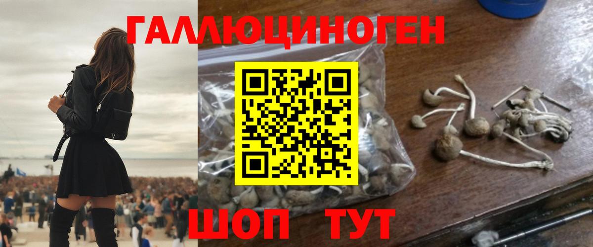 Галлюциногенные грибы Psilocybine cubensis  Псилоцибиновые грибы Cubensis  Вход с VPN  Гагарин 
